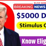 $5000 DOGE Stimulus Check 2025
