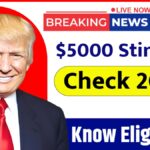 $5000 Stimulus Check 2025